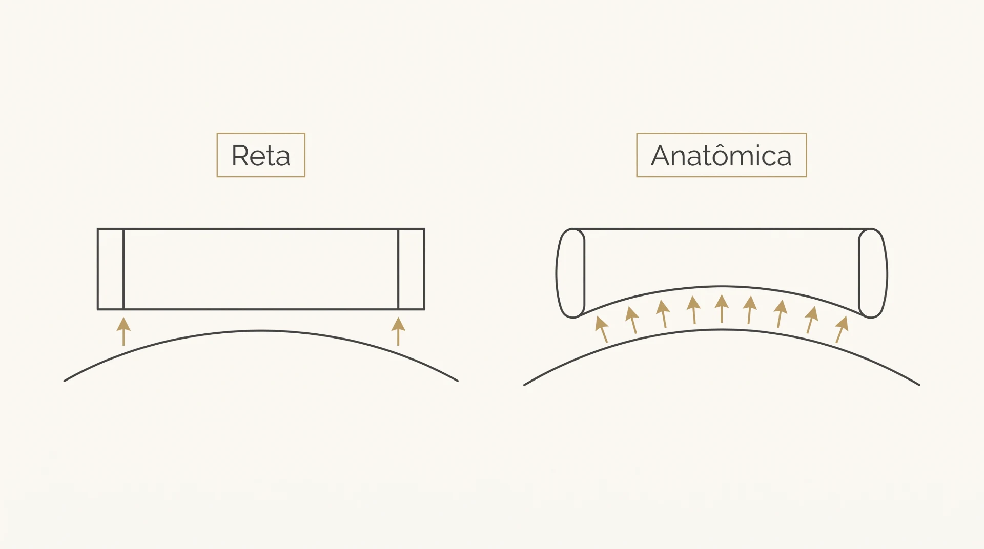 Corte comparando o perfil interno de uma aliança reta e de uma anatômica